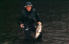 nit_chum2.gif (260546 bytes)