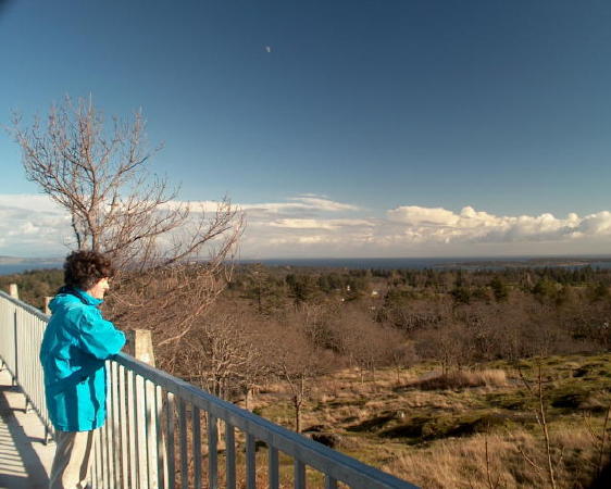 Monica looks out from Mt Tolmie