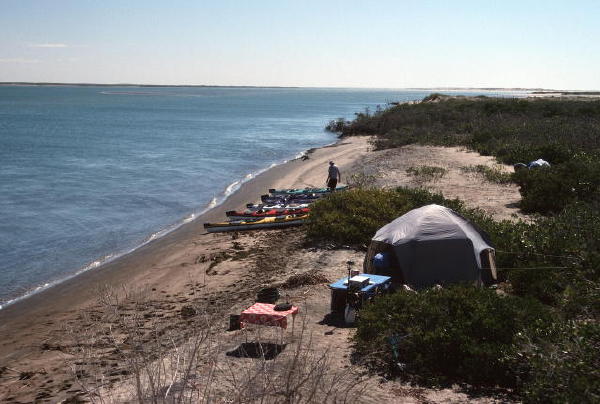 Baja trip camp