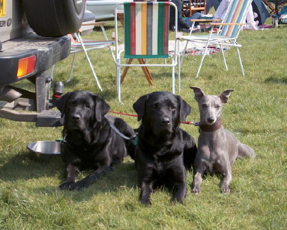 The Akenhead labs and Suzi