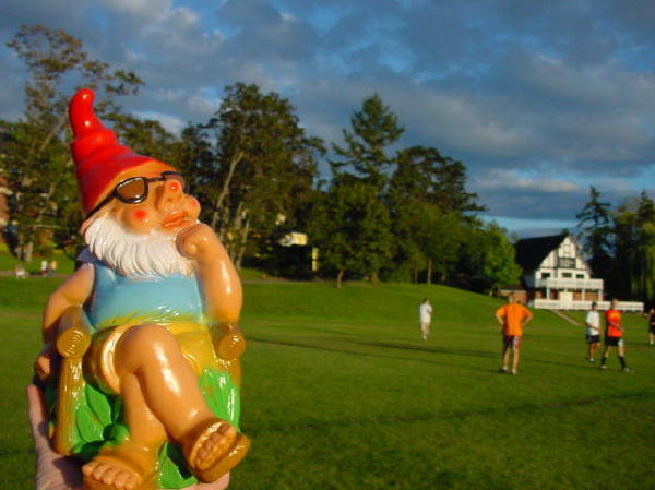 The house gnome